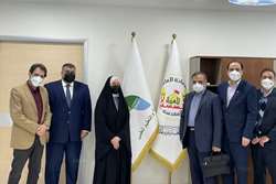 دانشگاه سبطین برای نخستین بار رشته مامایی را در عراق راه‌اندازی می‌کند